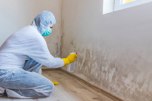 Mold Remediation specialist working in Elkton